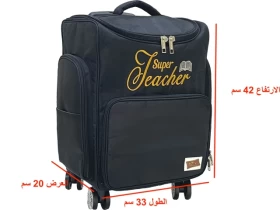 Super Teacher Bag