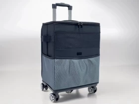 Trolley bag T08