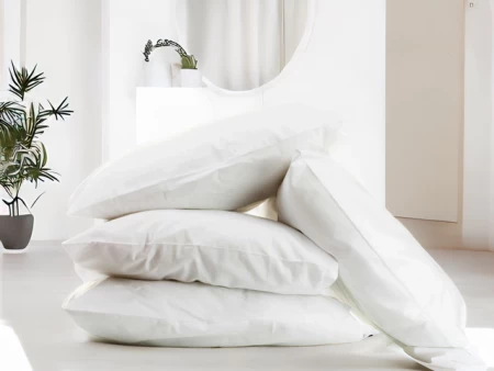 4 FEATHER PILLOWS (Special Offer)